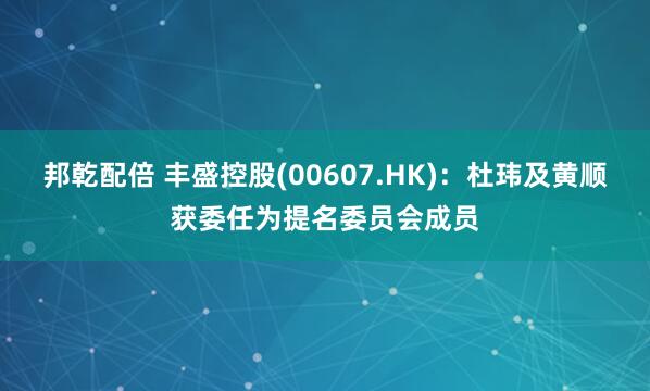 邦乾配倍 丰盛控股(00607.HK)：杜玮及黄顺获委任为提名委员会成员
