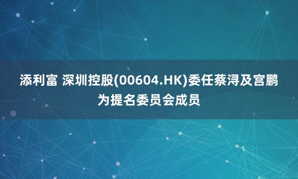 添利富 深圳控股(00604.HK)委任蔡浔及宫鹏为提名委员会成员