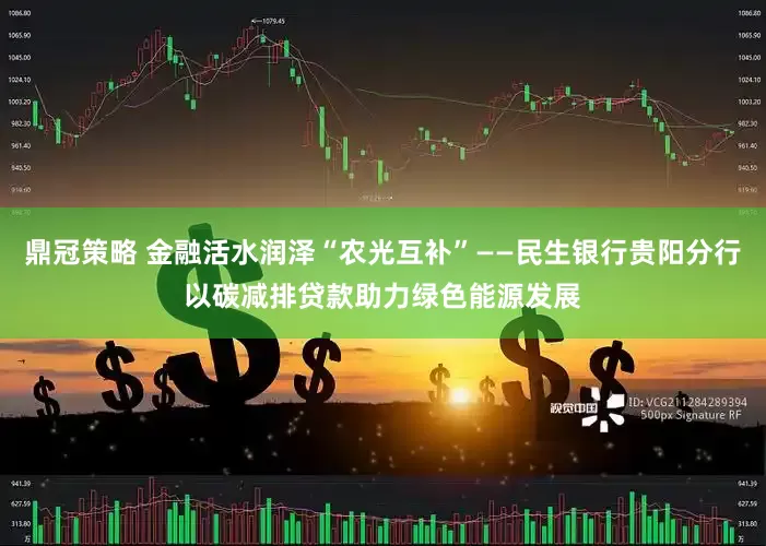鼎冠策略 金融活水润泽“农光互补”——民生银行贵阳分行以碳减排贷款助力绿色能源发展