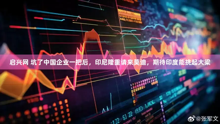 启兴网 坑了中国企业一把后，印尼隆重请来莫迪，期待印度能挑起大梁